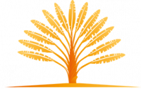 CANANGA