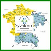 SYVALORM