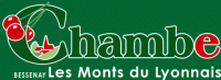 CHAMBE AGRI FRUITS