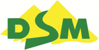 DSM