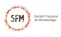 SFM