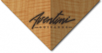 LUTHERIE GUITARES AVENTINI