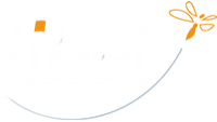 LIBEL
