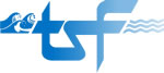 TSF