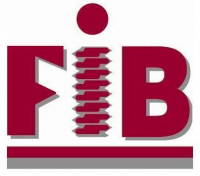 FIB