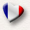 GERARD VIALET
