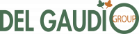 SA DEL GAUDIO
