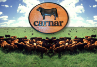 CARNAR