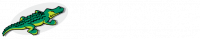 SEDP SOC EXPL DIVA PLASTIQUES