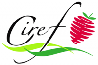 CIREF