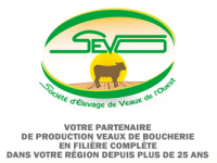 SEVO