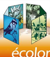 ECOLOR