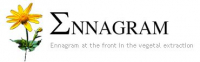 ENNAGRAM