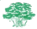SCIERIE LAFONTE