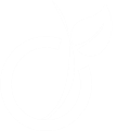 HORIBA MEDICAL