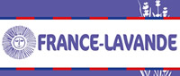 COOPERATIVE FRANCE LAVANDE