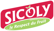 SICA SICODIS