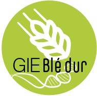 GIE BLE DUR