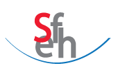 S F E H