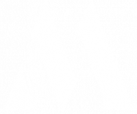 MARYLIN AGENCY