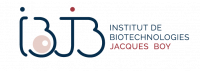 INSTITUT DE BIOTECHNOLOGIES JACQUES BOY