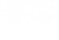 NEW SERVICE F.L