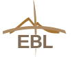 EBL POLYESTER