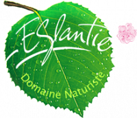 L'EGLANTIERE