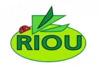 RAYMOND RIOU