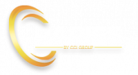 PARIES P.L.V