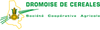 CDC