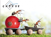 CATEXE