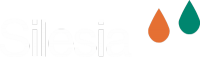 SILESIA FRANCE