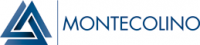 MCF INVESTISSEMENT