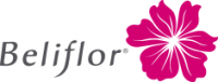 BELIFLOR