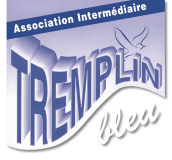 ASS INTERMEDIAIRE TREMPLIN BLEU
