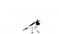 COGNAC PEYROT