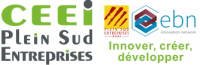 ASSO PLEIN SUD ENTREPRISES