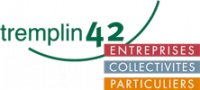 TREMPLIN 42 RELAIS POUR L'EMPLOI