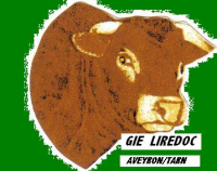 LIREDOC