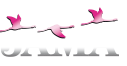 JAMA