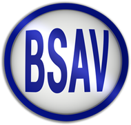 B S A V