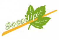 SARL SOCODIP