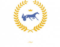 HORSE WINNER