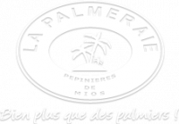 LA PALMERAIE