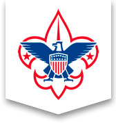 BSA