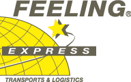 FEELING EXPRESS