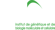 CERBM
