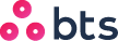 BRETAGNE TURBO SERVICES
