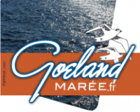 GOELAND MAREE